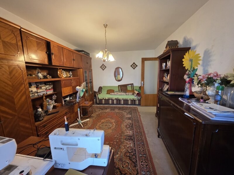 Theodor Pallady, 5 minute metrou 1 Decembrie 1918, stradal,